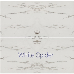 White Spider Marble Slabs & Tiles