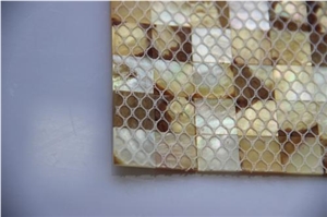 Seamless Gold Lip Seashell Mop Mosaic Msw1016