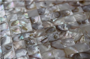 Seamless Multi Colors Shell Mosaic Tile on Mesh