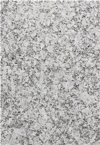 Gris Salanga Granite Slabs & Tiles