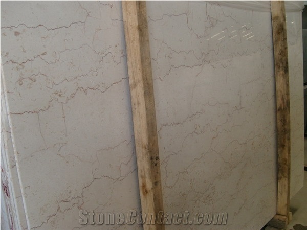 Hot Sales Shell Beige Marble for Vanity Top