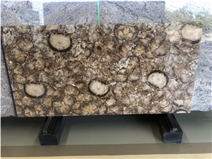 Petrified Wood Semi-Precious Marble for Home Decor