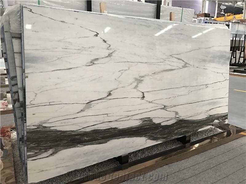 Calacatta Ink White Marble Slabs for Hotel Project