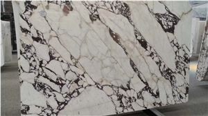 Calacatta Viola Marmo Marble for Floor Covering