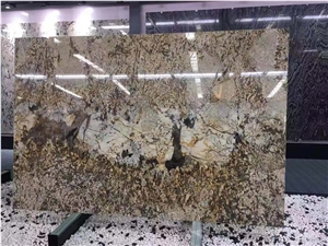 Oro Fino Granite Butterfly Golden Slab Wall Panels