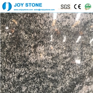 Factory Price Kuppam Green Granite Cover Wallfloor