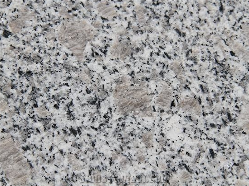 G383 Pearl Flower Granite Tile, Cheap Granite Tile from China809274
