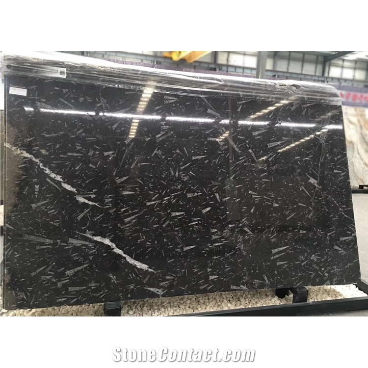 Moroccan Fossil Marble Slabs for Countertops,Tiles