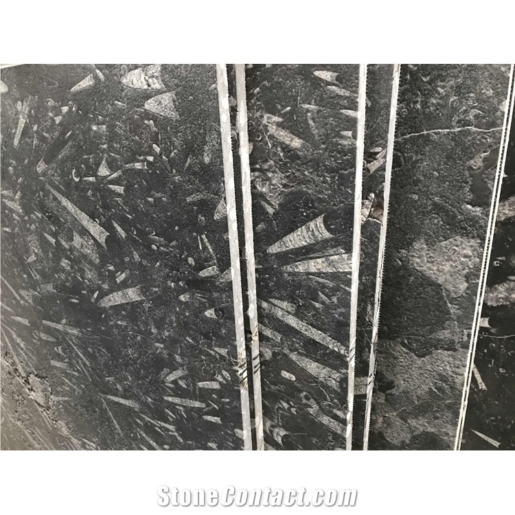 Moroccan Fossil Marble Slabs for Countertops,Tiles
