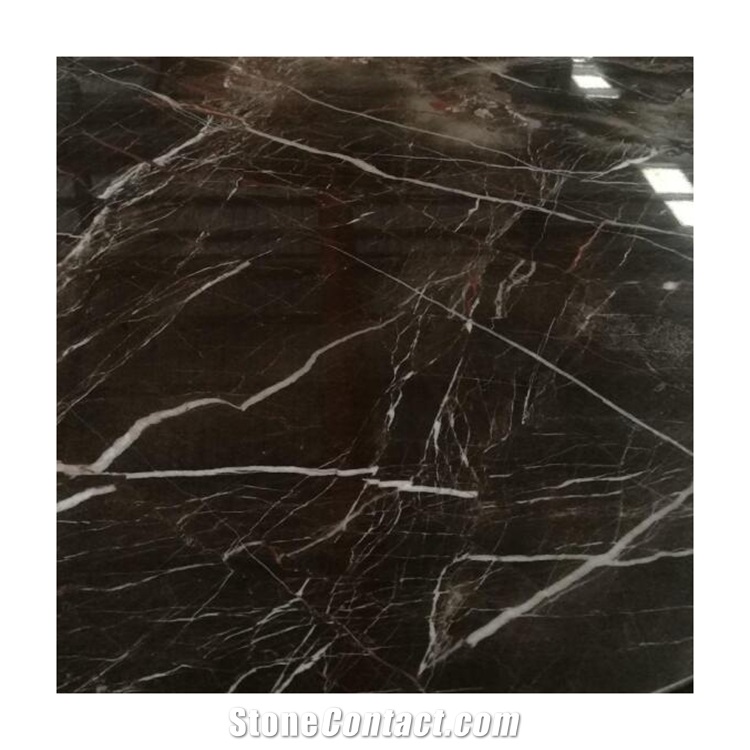 Poilished Brown Saint Laurent Marble for Staircase