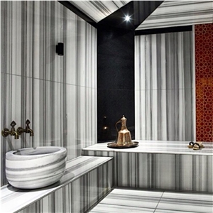 Polished Marmi Grigio Striata Tiles for Wall