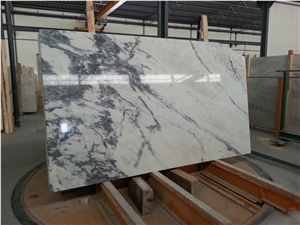 Polished Tiger Skin Marble Slabs