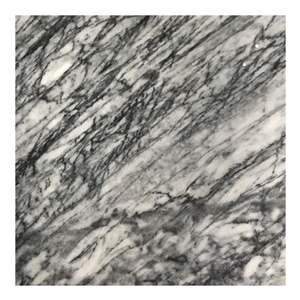 Polished Turkish Grigio Carnico Slabs