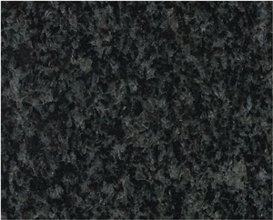 South Africa Nero Impala Black Granite Slabs&Tiles