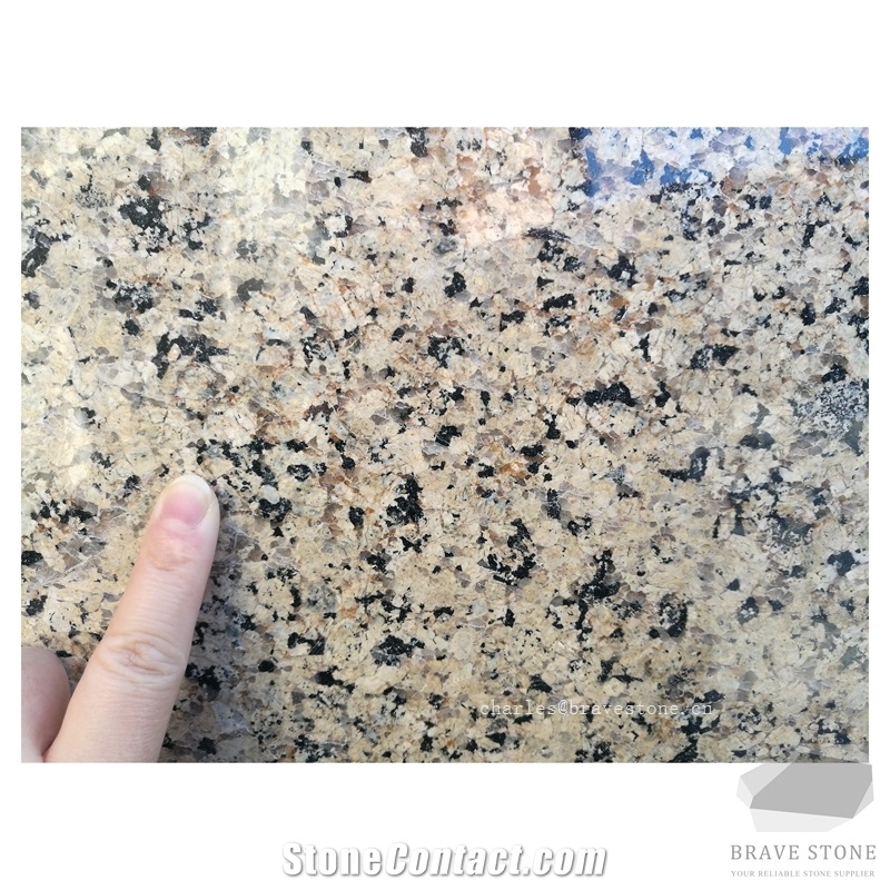 Golden Leaf Granite Slabs for Countertop Vanity