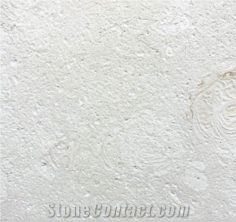 Shell Reef Limestone Brushed Tiles