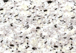 White Natanz Granite Block, Iran White Granite