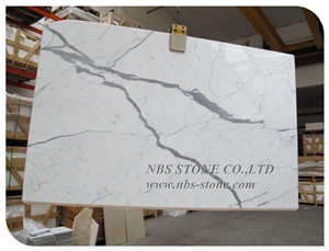 Interior Italian White Statuario Marble Slab