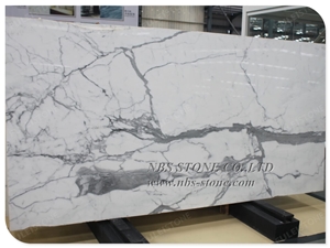 Interior Italian White Statuario Marble Slab