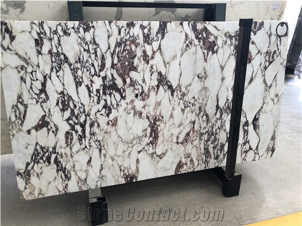 Luxury Calacatta Viola Marble for Table Top
