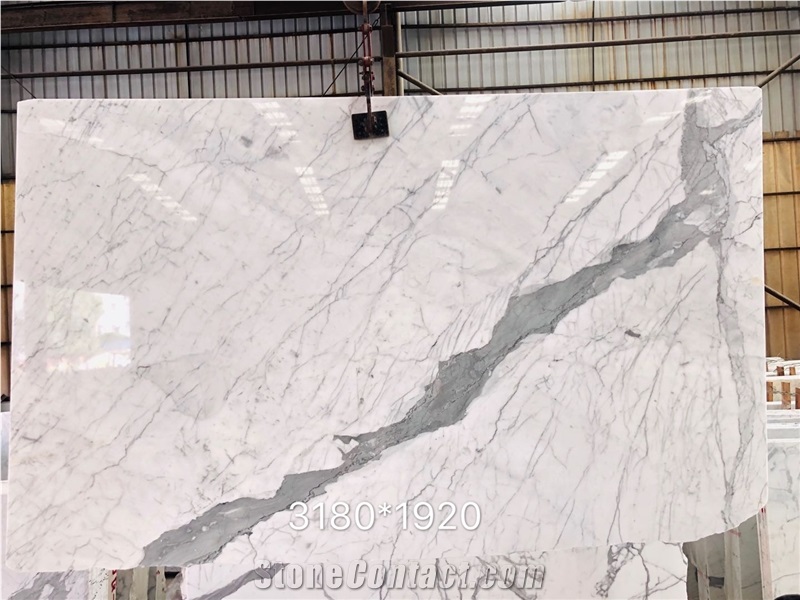 Italy White Marble-Statuario Venato Marble