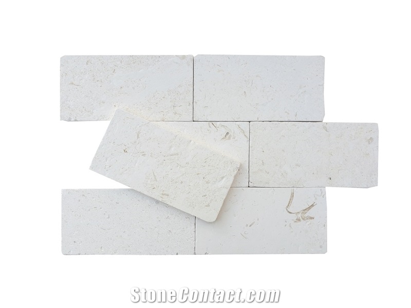 3"X6" Seashell Marble Tumbled Tile