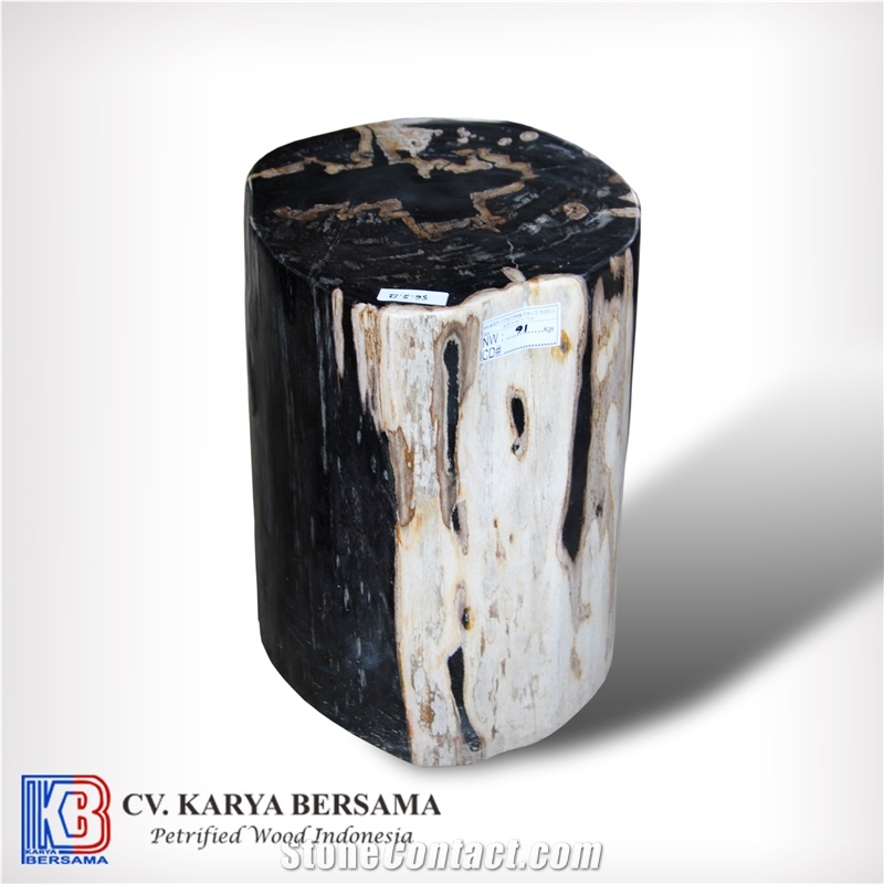 Petrified Wood Round Side Table and Stools