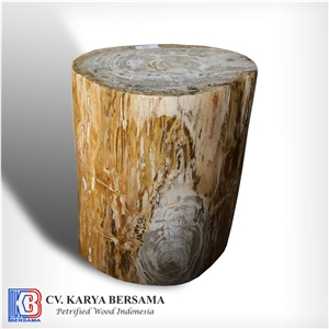 Petrified Wood Round Side Table and Stools