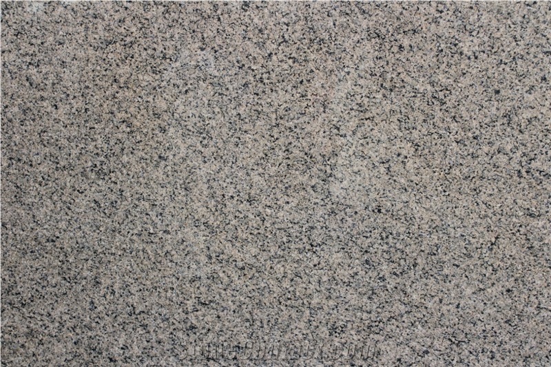 Najran Platinum Granite Slabs