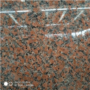 G562 Maple Red Granite Polish Slab Tile