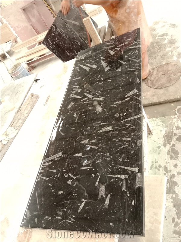 Ocean Jura Black Fossil Marble Slabs