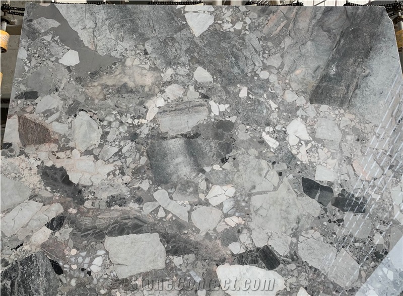Fossil Grey Marble Exotic Fantastic Slab Tile