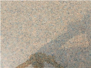 China Tropic Brown Granite Slabs