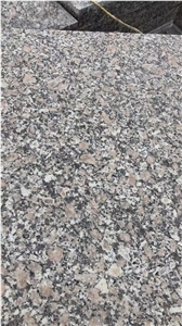 Polished China Bianco Sardo Granite Tiles