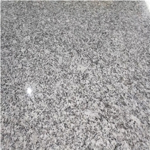 Polished Dalian White Granite Tiles