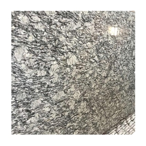 Polished Sea Flower Granite Tiles