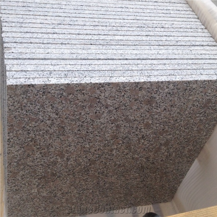 Polished Zhaoyuan Pearl Granite Tiles