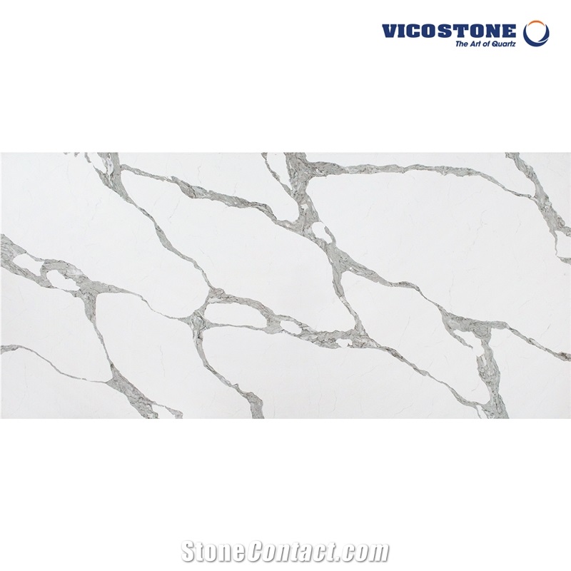Quartz Countertop Vicostone Bq8920 Forza from Viet Nam
