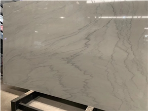 Italy Nice Grey Marble Slab for Sale