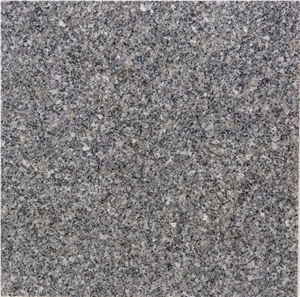Grey Aswan Granite Tiles & Slabs