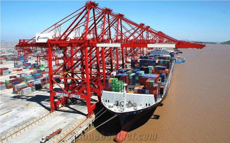 Customs Clearance & Ocean Logistics Freight Service