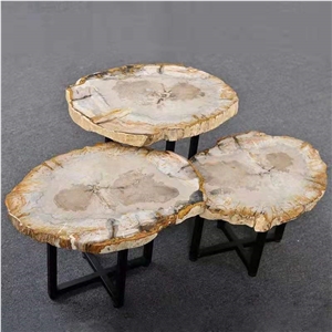 Natural Petrified Wood Stone Table Tops