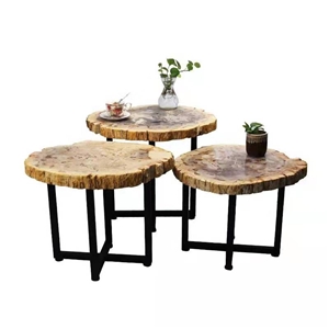 Natural Petrified Wood Stone Table Tops