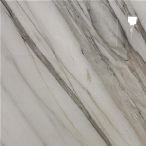 Italian Natural Polished Calacatta Vandelli Marble