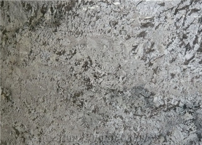 Bianco Anitco Granite Slabs for Kitchen Countertop