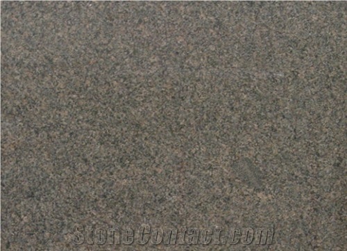 Canada Caledonia Brown Granite Slab for Countertop