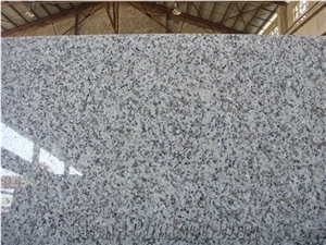 Big Flower White G439 Granite Slabs Tiles Kitchen