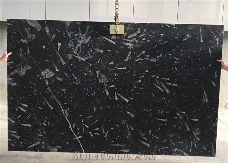 Black Fossil Marble Tiles &Slabs,Polished Flooring