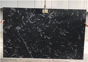 Black Fossil Marble Tiles &Slabs,Polished Flooring