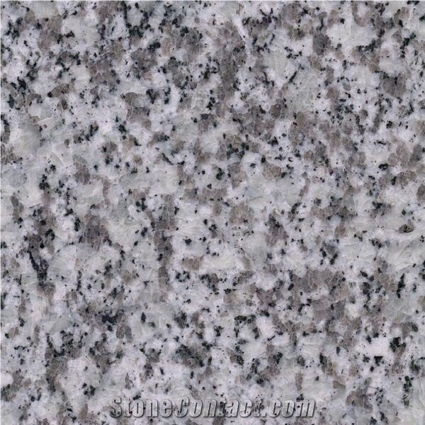 Jilin White New G439 Granite Slabs Tiles